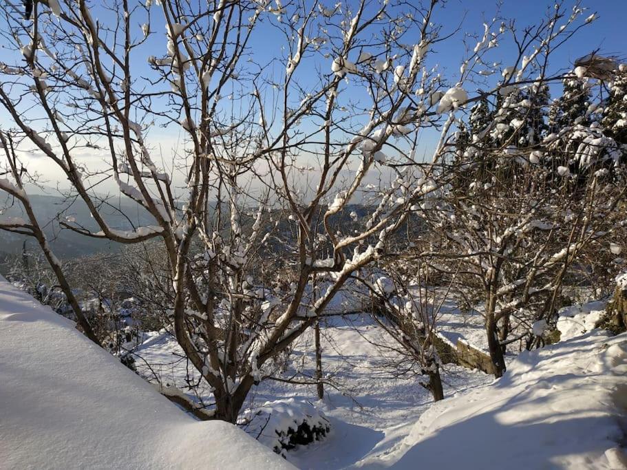 فيلا Mountain And Sea View Miléai المظهر الخارجي الصورة